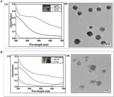 Olax scandens Mediated Biogenic Synthesis of Ag-Cu Nanocomposites: Potential Against Inhibition of Drug-Resistant Microbes